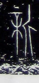 �������ϸ����