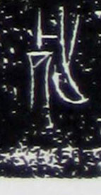 �������ϸ����