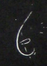 �������ϸ����