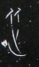 �������ϸ����