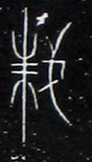 �������ϸ����