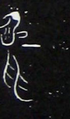 �������ϸ����