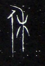 �������ϸ����