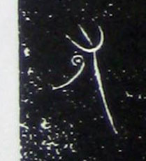 �������ϸ����