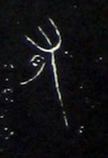 �������ϸ����