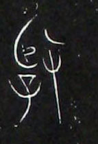 �������ϸ����