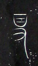 �������ϸ����