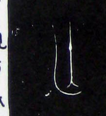 �������ϸ����