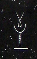 �������ϸ����