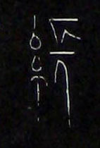 �������ϸ����