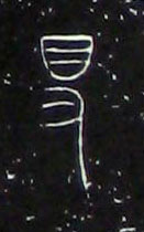 �������ϸ����