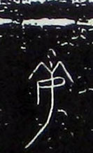 �������ϸ����