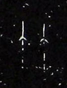 �������ϸ����