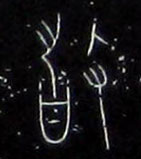 �������ϸ����