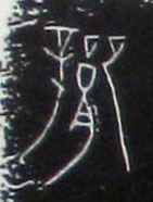 �������ϸ����