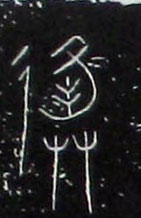 �������ϸ����