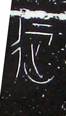 �������ϸ����