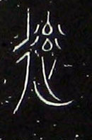 �������ϸ����