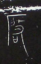 �������ϸ����