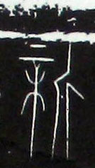 �������ϸ����