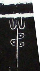 �������ϸ����