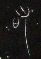 �������ϸ����