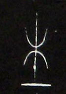 �������ϸ����