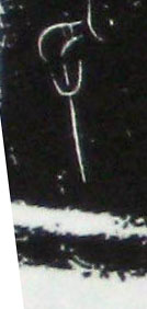 �������ϸ����