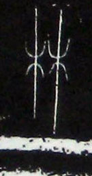 �������ϸ����