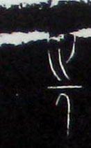 �������ϸ����