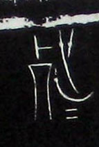 �������ϸ����